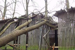 Tegtmeyer Bausachverständige